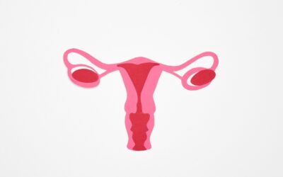 Ciclo irregolare: quando è normale e quando parlarne con il ginecologo